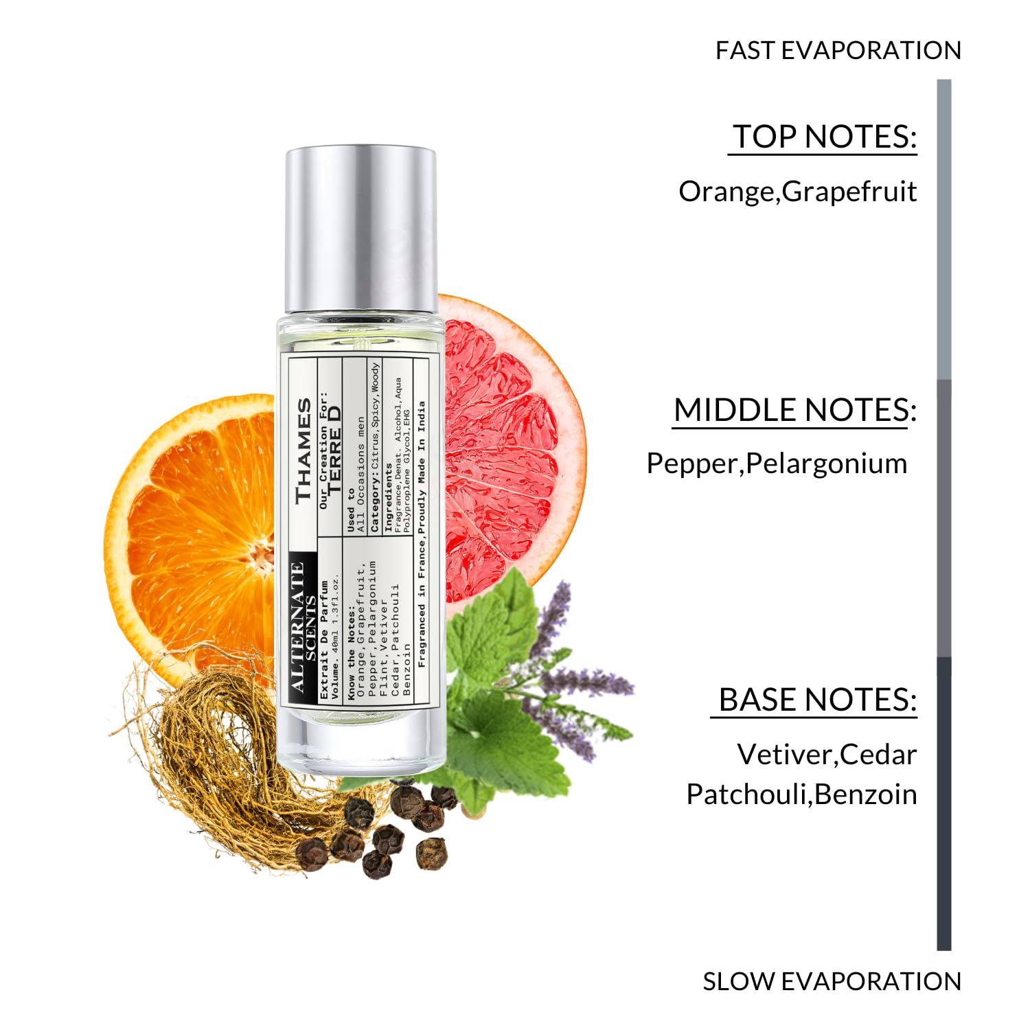 Alternate Scents Thames Long Lasting Perfume For Men | Strong & Long Lasting with 30% Oil Concentration