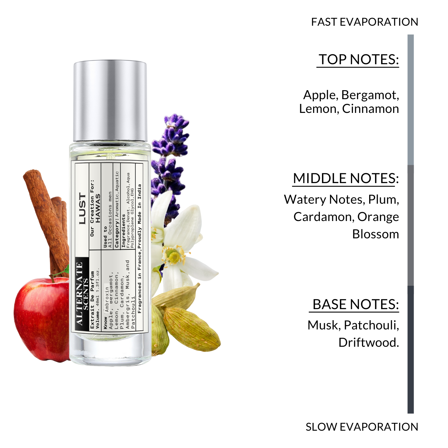 Alternate Scents LUST Long Lasting Perfume For Men |Strong& long Lasting with 30% Oil Concentration|Fresh Fruity-Aquatic | Fragrance From France | Made In India|