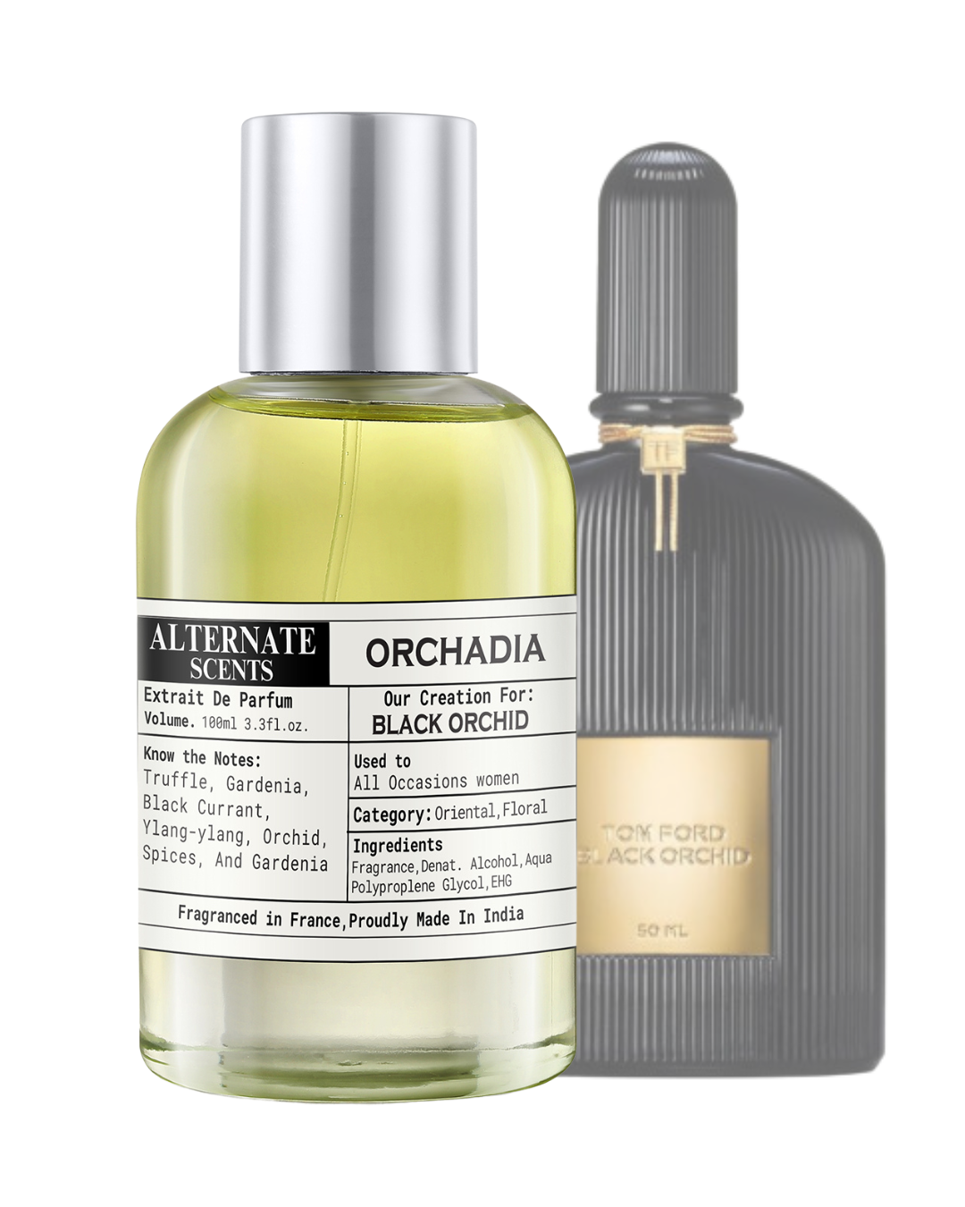 Alternate Scents Orchadia Long Lasting 40ml Perfume For Women |Strong& long Lasting with 30% Oil Concentration|Bold Floral Spicy | Fragrance From France | Made In India|