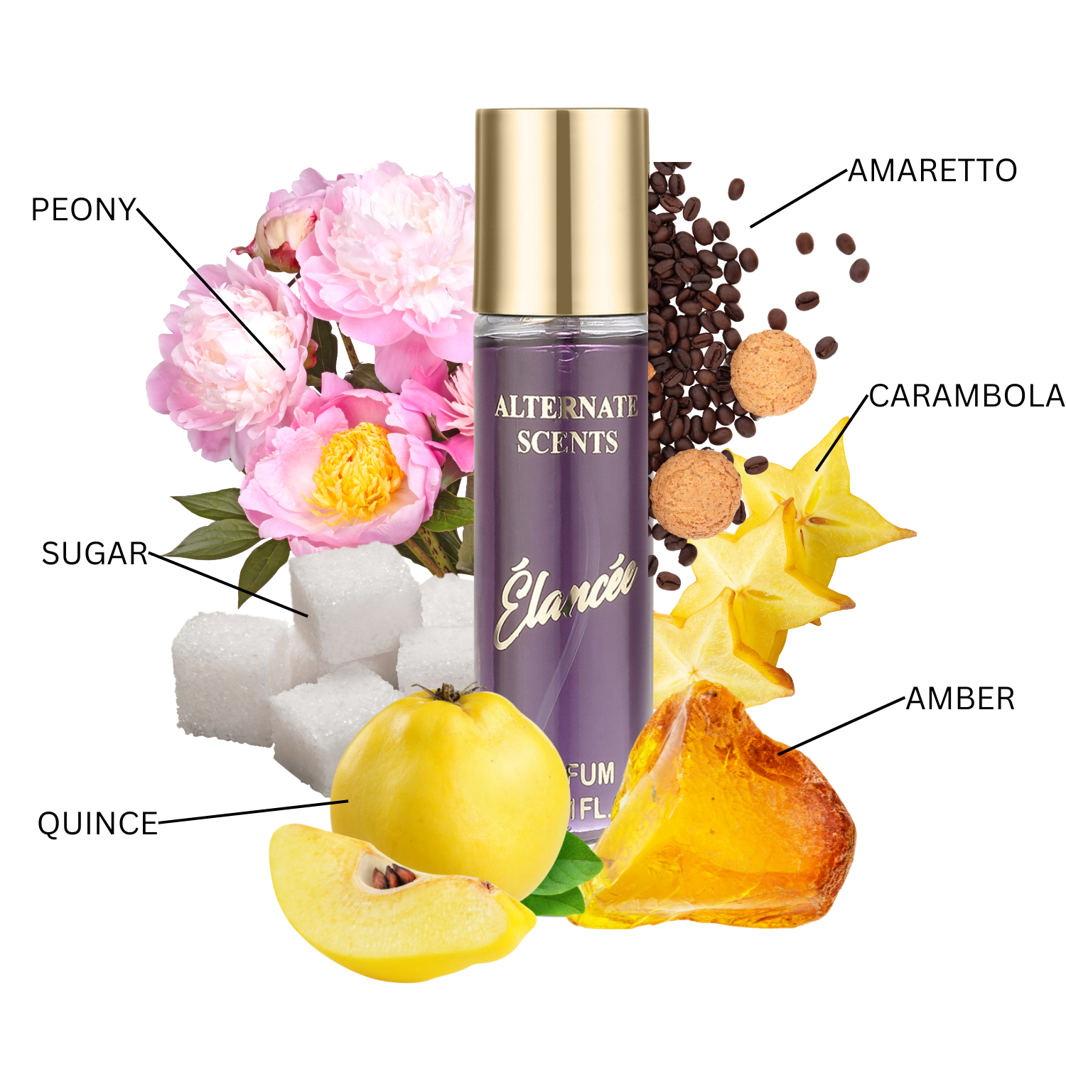Alternate Scents WOMEN Combo