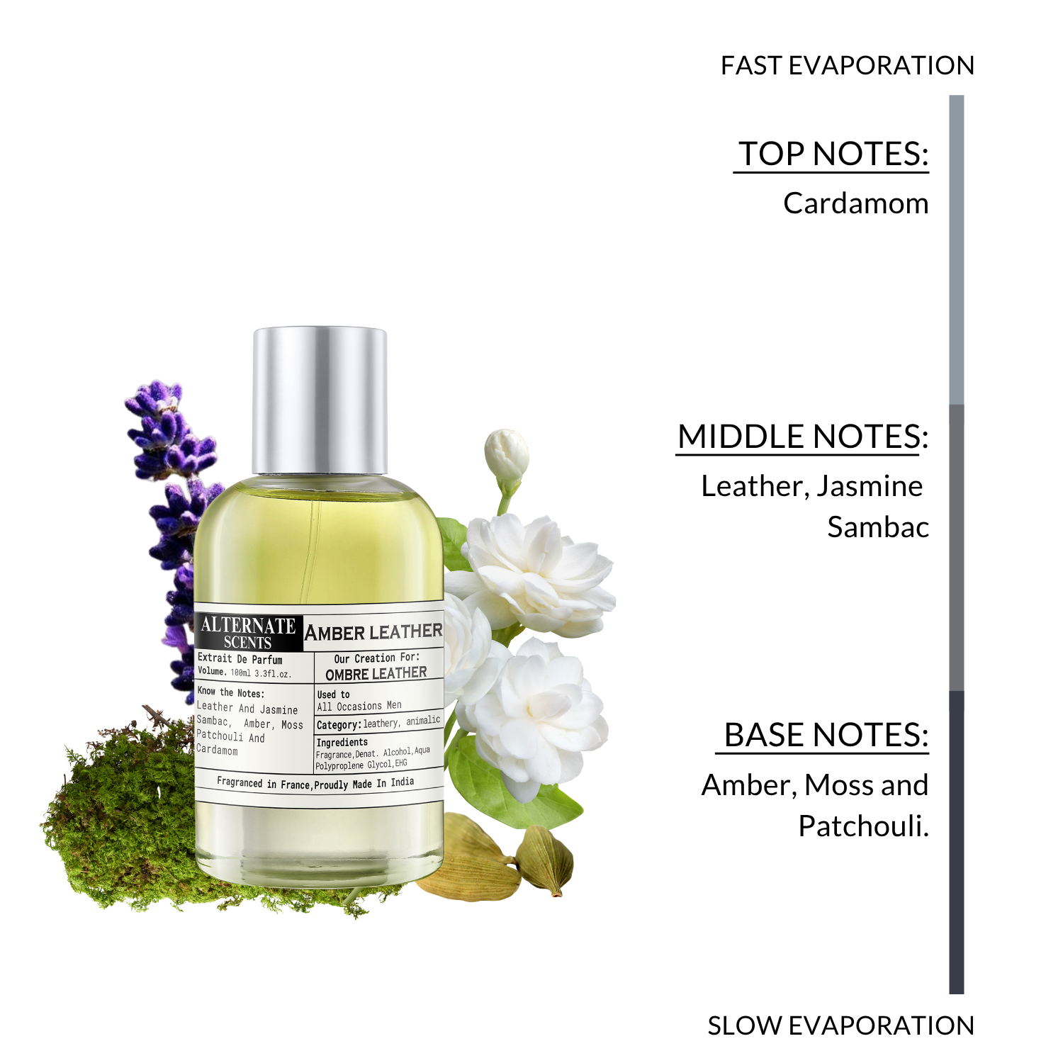 Alternate Scents AMBER LEATHER Long Lasting Perfume For Men