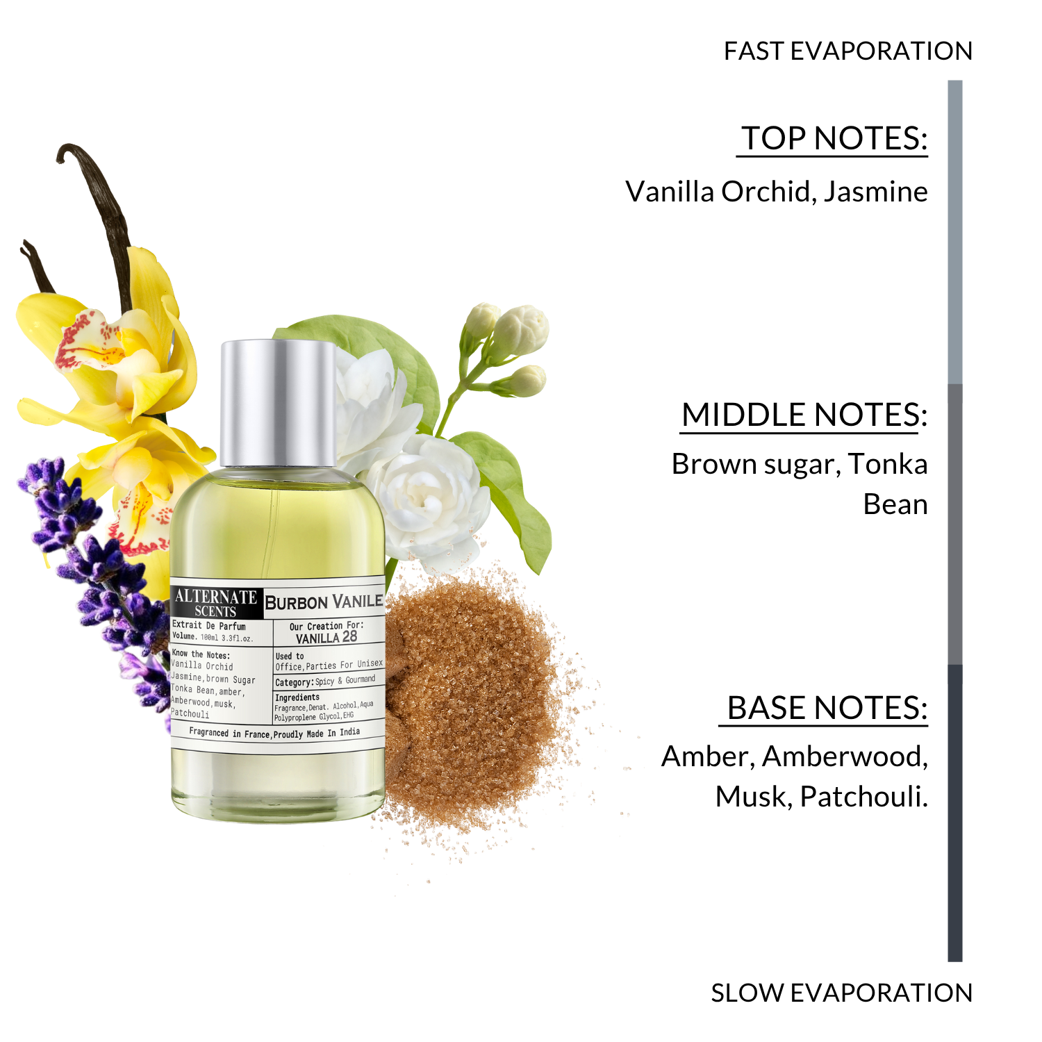 Alternate Scents BURBON VANILE Long Lasting Perfume For Men& Women