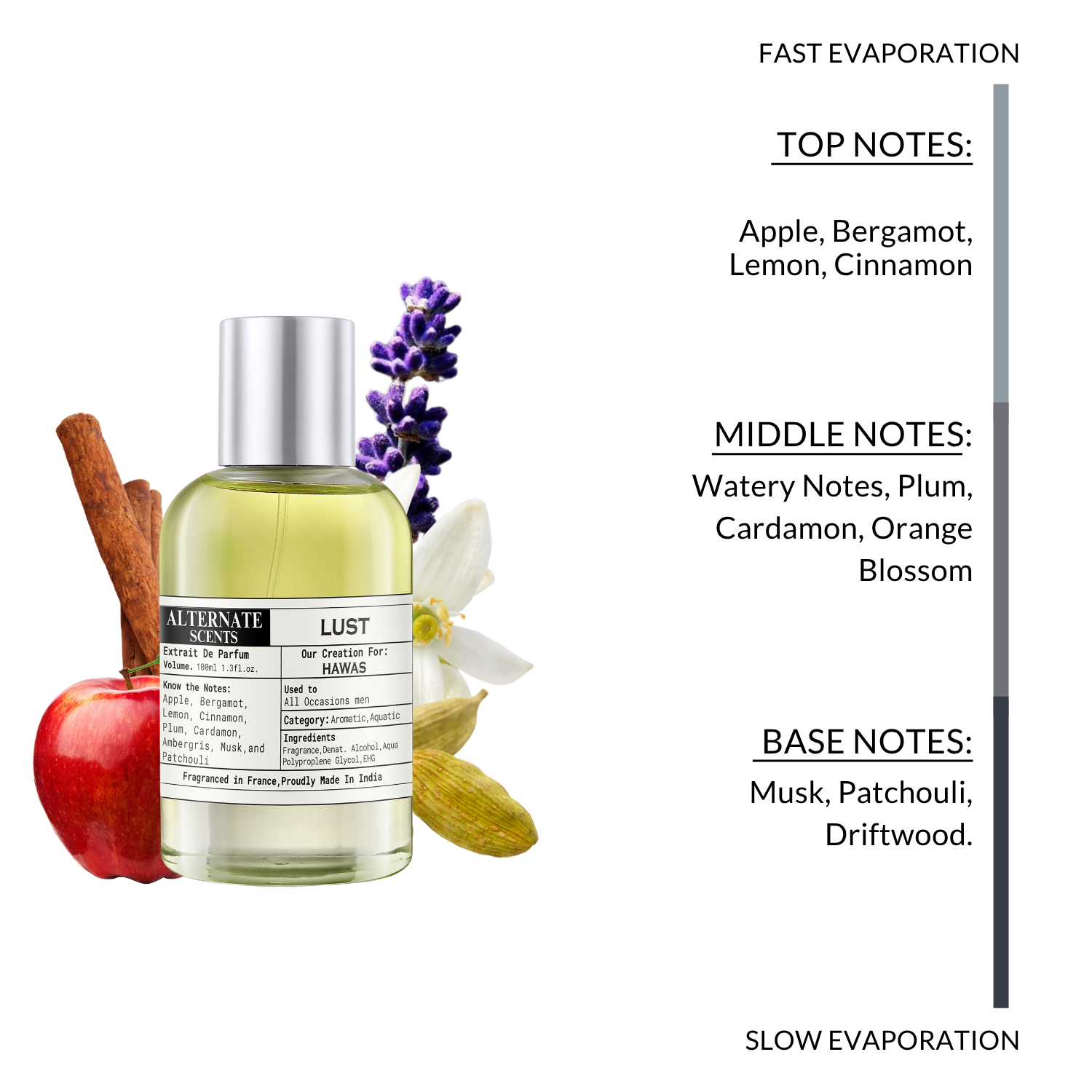 Alternate Scents LUST Long Lasting Perfume For Men