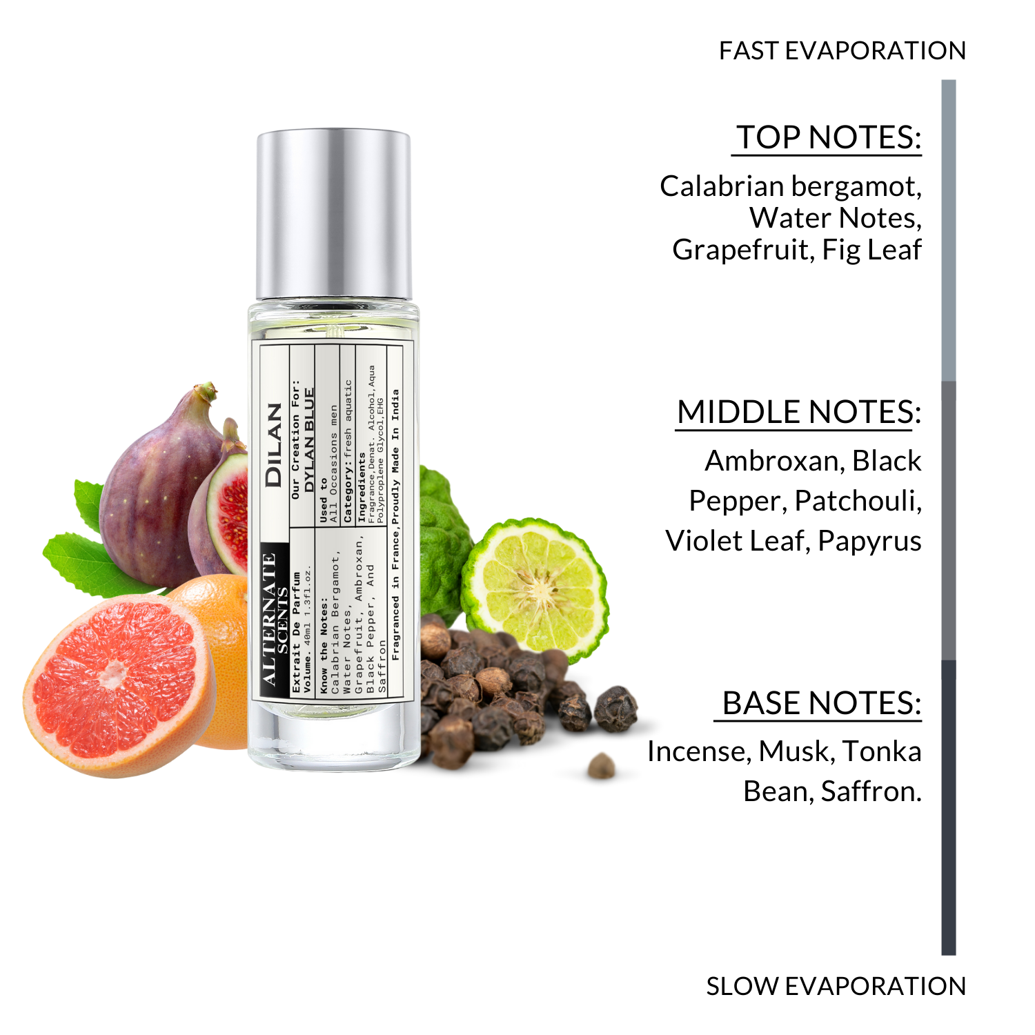 Alternate Scents Dilan 40ml Perfume | Inspired by Ver$ace Dylan Blue | Fresh Spicy Woody Perfume for Men | Long Lasting Daily & Evening Fragrance | Bold & Masculine Scent