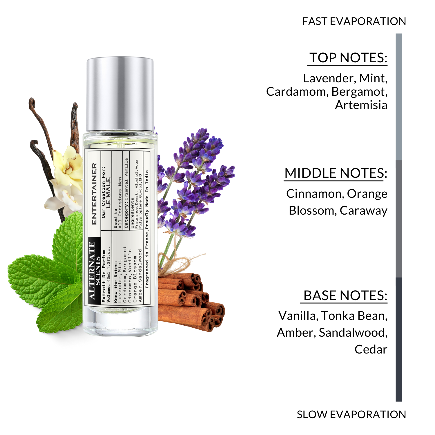 Alternate Scents ENTERTAINER Long Lasting Perfume For Men |Strong& long Lasting with 30% Oil Concentration|| Fresh Spicy Vanilla| Fragrance From France | Made In India|