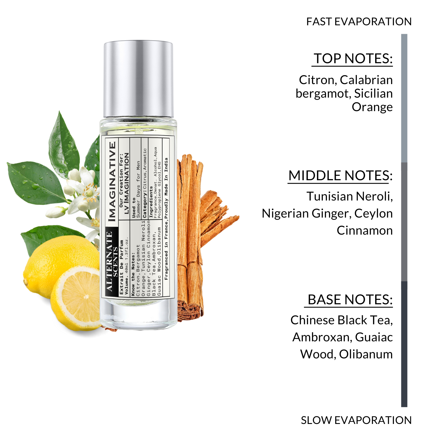 Alternate Scents IMAGINATIVE Long Lasting Perfume For Men |Strong& long Lasting with 30% Oil Concentration|Fresh Citrus Tea-Based| Fragrance From France | Made In India|