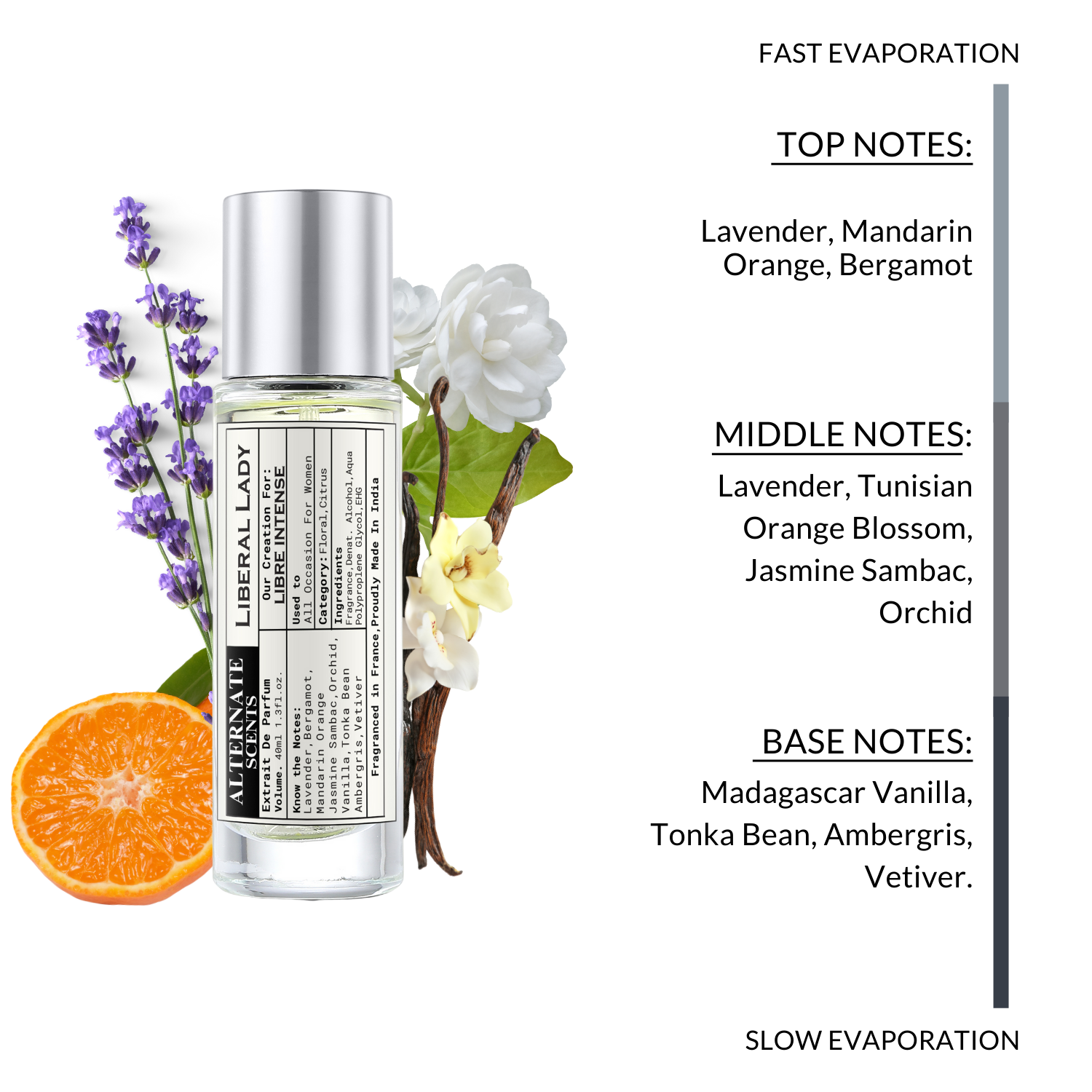 Alternate Scents Liberal Lady Long Lasting Perfume For Women |Strong& long Lasting with 30% Oil Concentration|Floral,Bold, Sensual| Fragrance From France | Made In India|