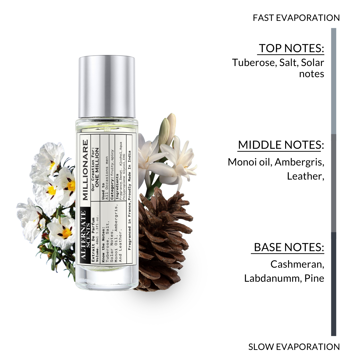 Alternate Scents MILLIONARE Long Lasting Perfume For Men |Strong& long Lasting with 30% Oil Concentration|Spicy & Sweet| Fragrance From France | Made In India|