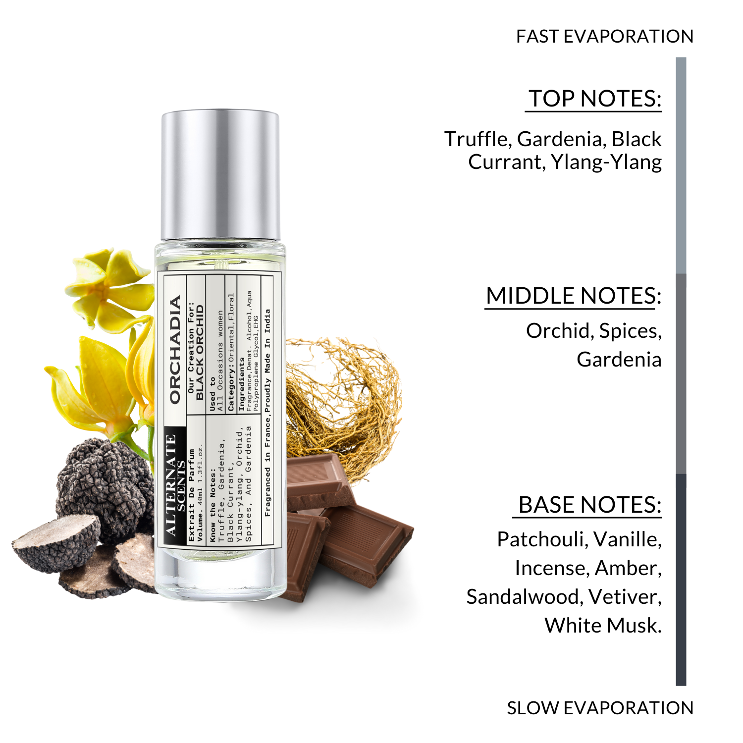 Alternate Scents Orchadia Long Lasting 40ml Perfume For Women |Strong& long Lasting with 30% Oil Concentration|Bold Floral Spicy | Fragrance From France | Made In India|