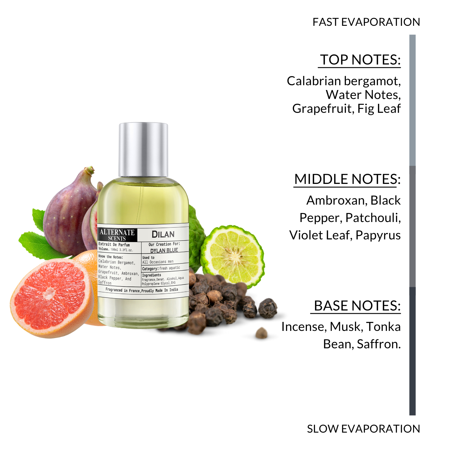 Alternate Scents Dilan Perfume