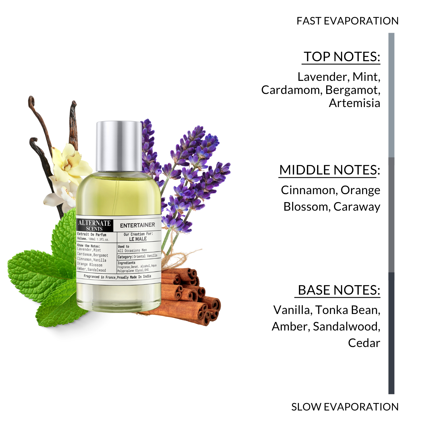 Alternate Scents ENTERTAINER Long Lasting Perfume For Men