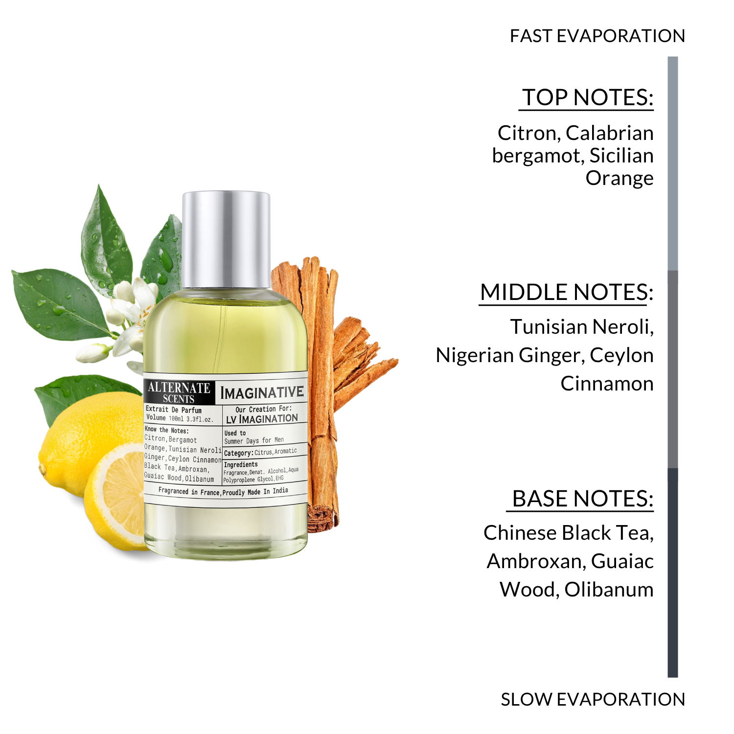Alternate Scents IMAGINATIVE Long Lasting Perfume For Men