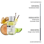Alternate Scents Matoid Long Lasting Perfume For Men