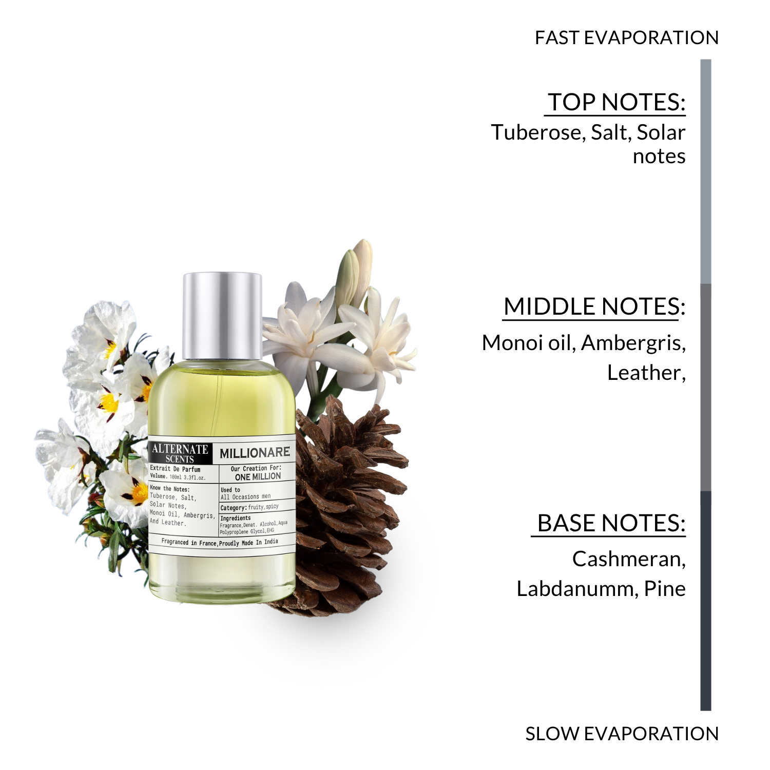 Alternate Scents MILLIONARE Long Lasting Perfume For Men