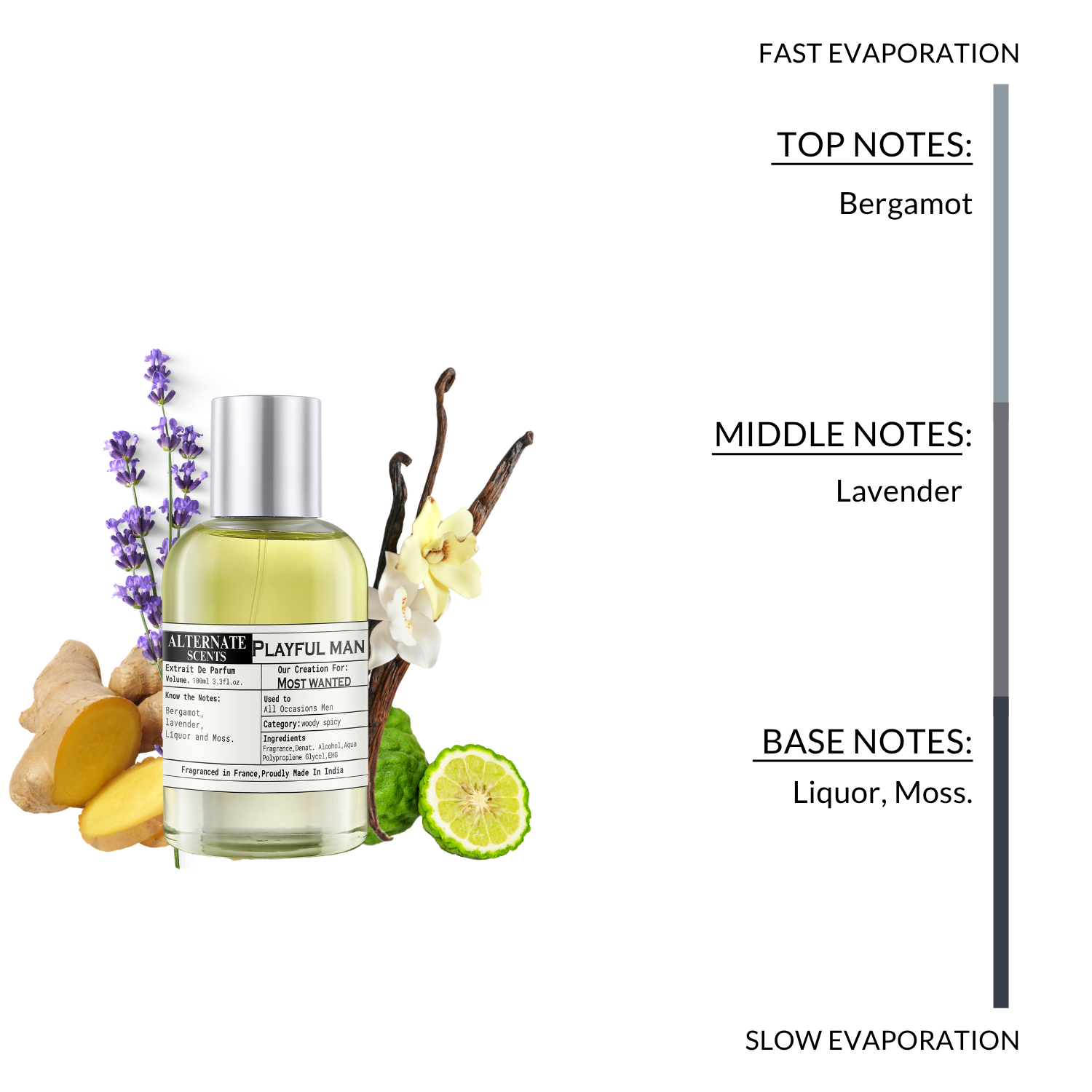 Alternate Scents Playful Man Long Lasting Perfume For Men
