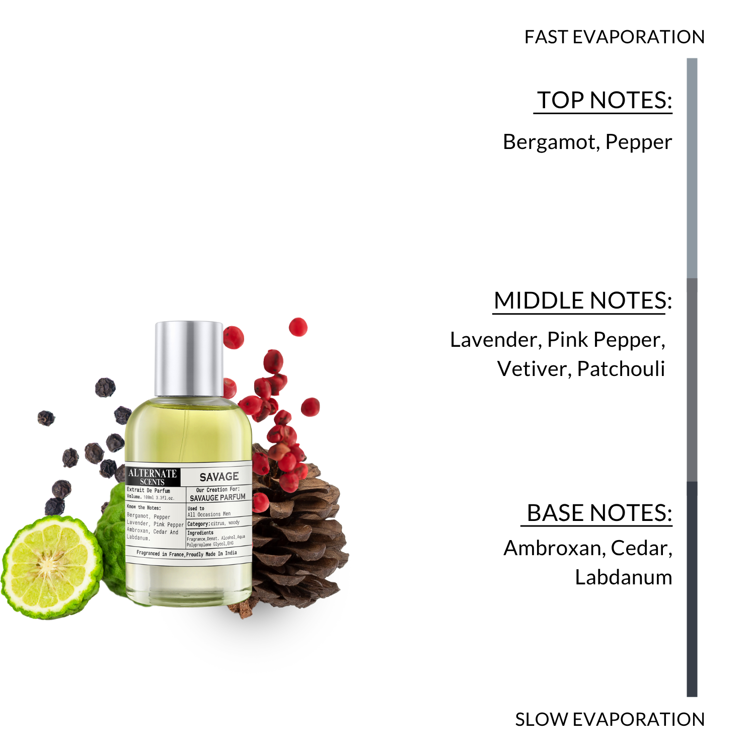 Alternate Scents SAVAGE Long Lasting Perfume For Men