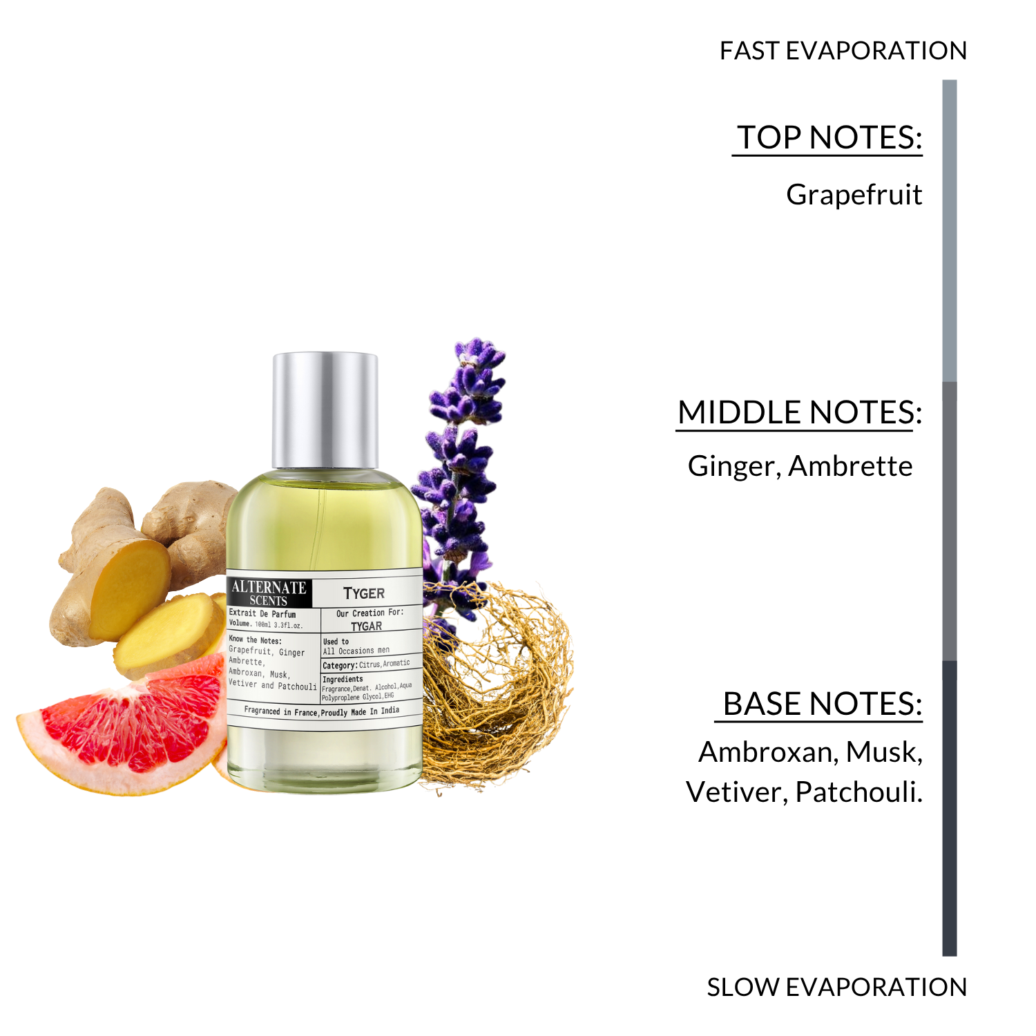 Alternate Scents TYGAR Long Lasting Perfume For Men